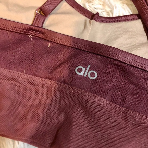 SOLD Alo Lavish Rose Mesh Bra Size Small EUC - Picture 2 of 4